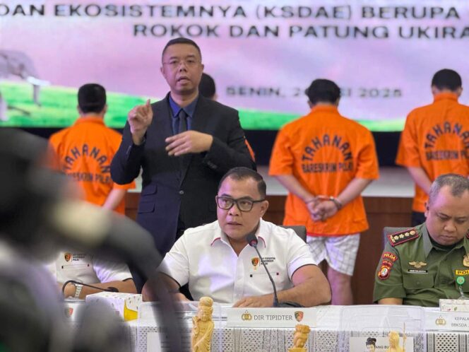 Bareskrim Sikat Penjual Gading Gajah Ilegal di Medsos