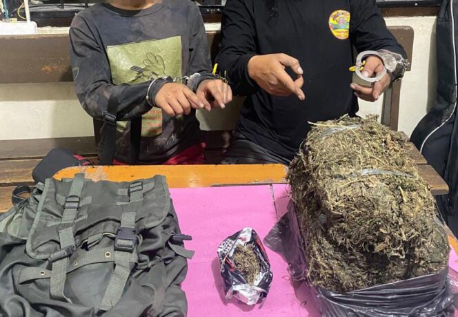 
					Polisi Sita 3,8 Kilogram Ganja saat Ringkus Dua Pria di Payakumbuh