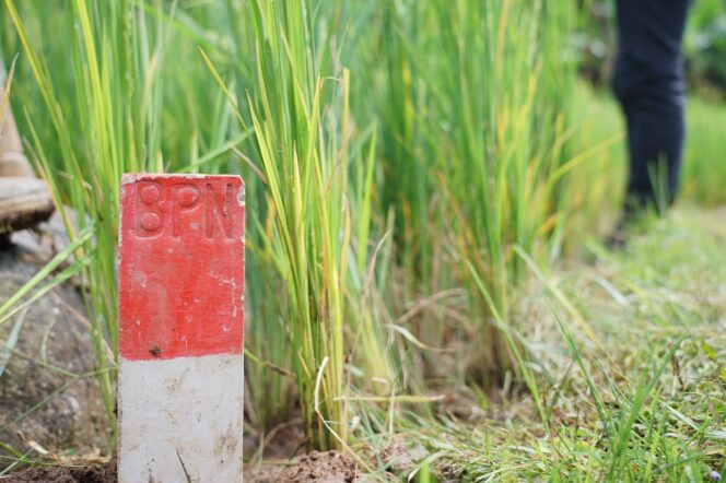
					Menteri Nusron Dorong Patok Permanen demi Cegah Konflik Batas Tanah