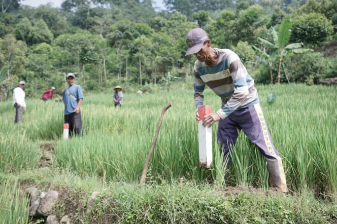 
					Dorong Warga Pasang Patok Batas Tanah, GEMAPATAS Akan Dicanangkan Serentak di 23 Kabupaten/Kota Ini