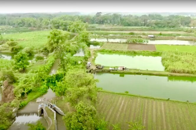 
					Desa Rejoagung Jombang Bangkit Lewat Reforma Agraria, Potensi Air jadi Sumber Ekonomi Baru