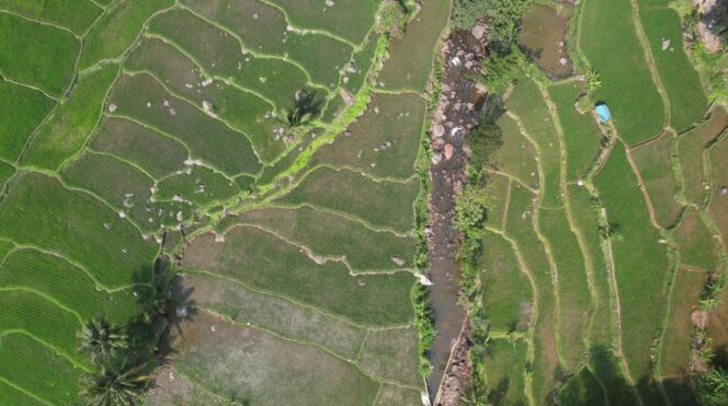 Reforma Agraria Jadi Solusi Ketimpangan Tanah, Menteri Nusron: Pembangunan Harus Berkeadilan