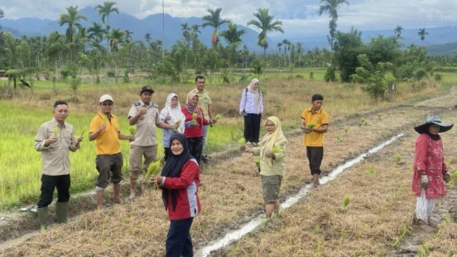 
					Kantor Pertanahan Solok Selatan Gelar Pendampingan Kewirausahaan “Sawah Pokok Murah”