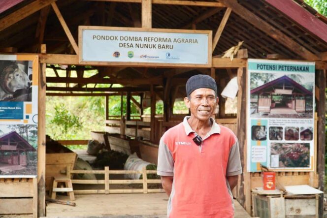 Sertifikat Hadir, Warga Nunuk Baru Kembangkan Usaha Ternak Domba Lewat Kampung Reforma Agraria